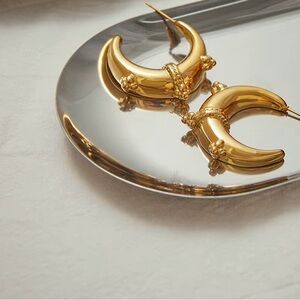 Chunky Crescent Hoop Earrings